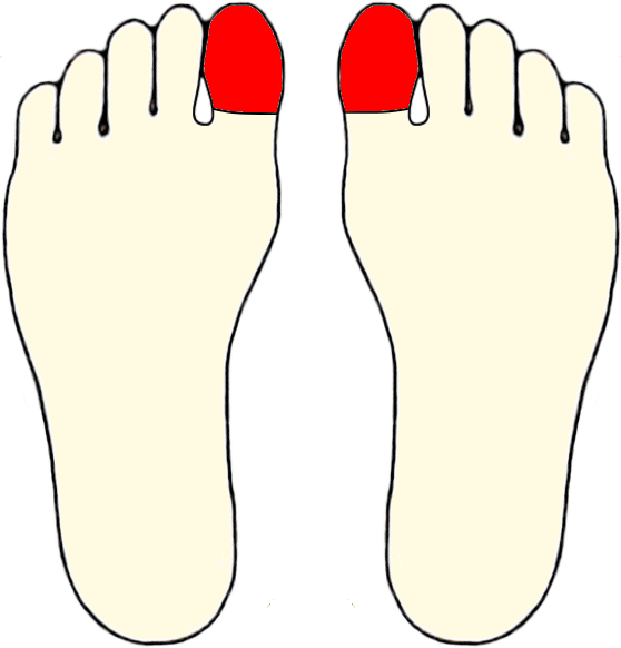 s-