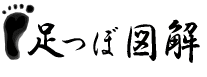  } -}bT[W̃c{